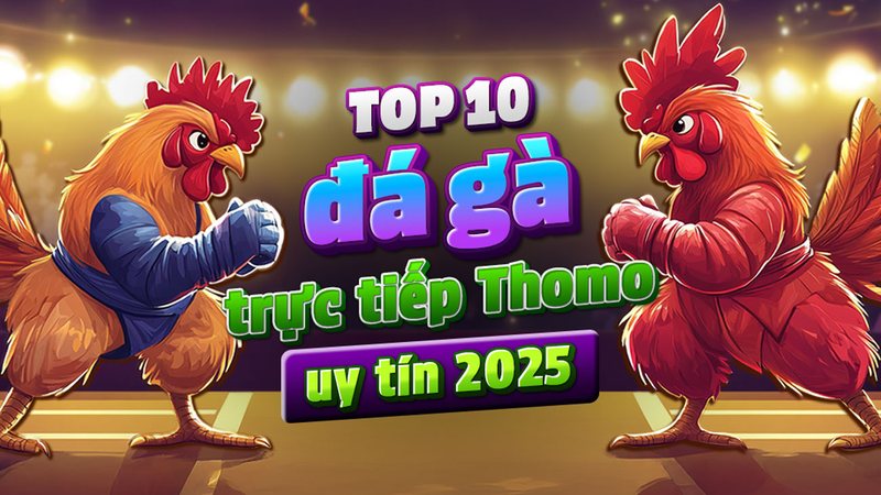 DR88 1 trong trang web top 10 về đá gà thomo